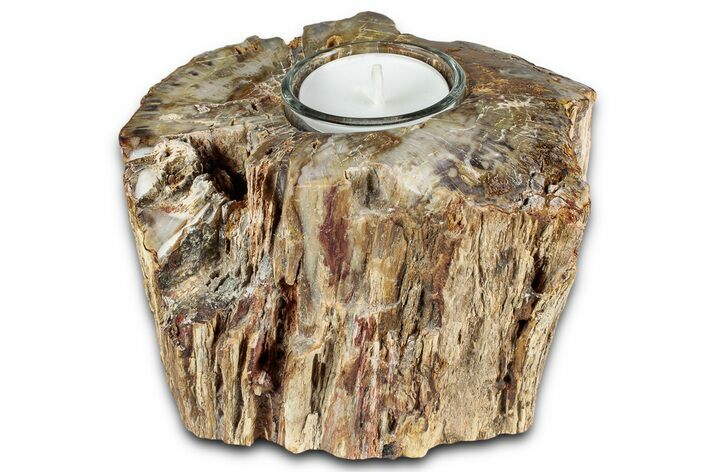 Polished Petrified Wood Candle Holder - Madagascar #337570